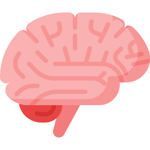 Enhanced cognitive function and mental clarity Enhanced cognitive function and mental clarity